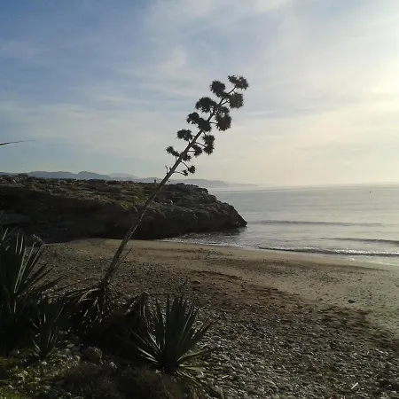 Bonito Y Tranquilo , Cerca Del Mar.